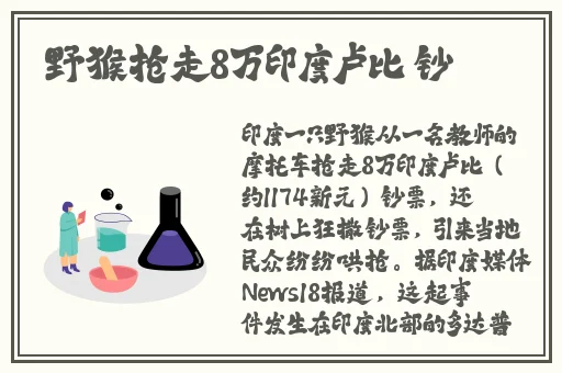 年轻人视频在线