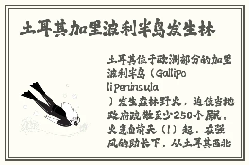 三个小男孩上火舞的动漫名字